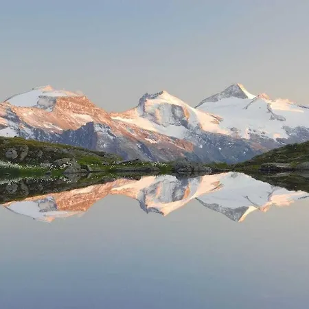 Heim - Type A Comfortable *