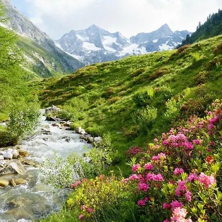 Prázdninový dům Heim - Type A Comfortable