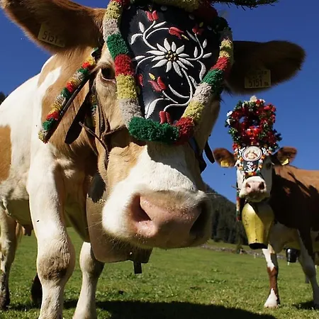 Heim - Type A Comfortable Prázdninový dům *