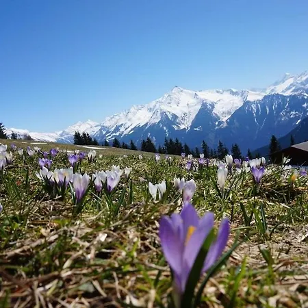 Heim - Type A Comfortable