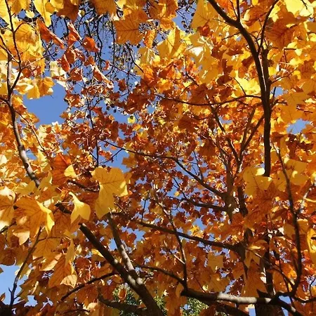 בית נופש Heim - Type A Comfortable