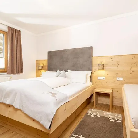 Holiday home Heim - Type A Comfortable Ramsau im Zillertal